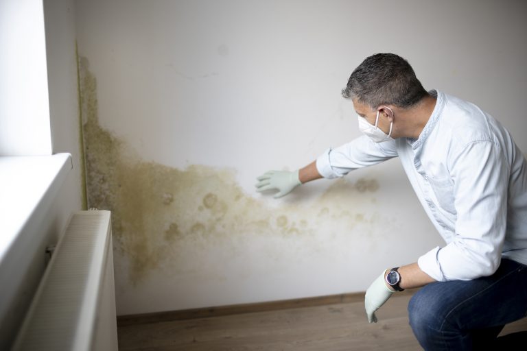 rising damp Middlesbrough